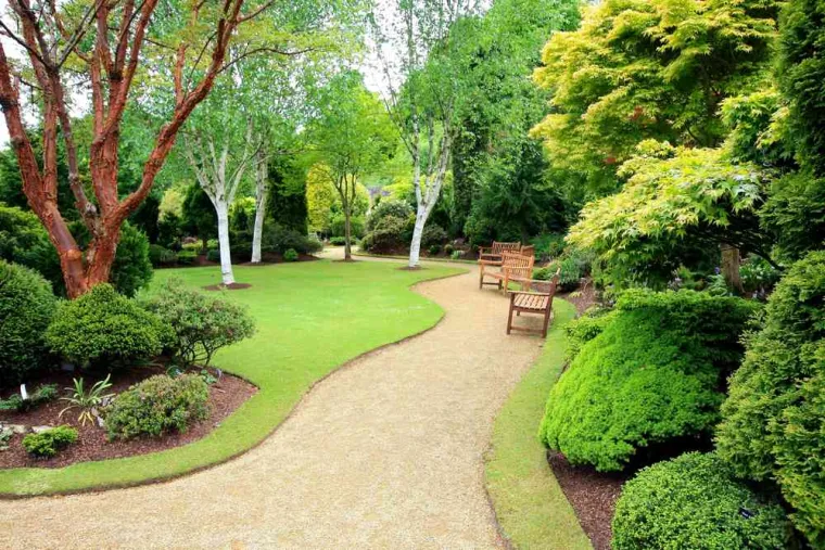 Aménagement de jardin, Bourgoin-Jallieu, Martins Espaces Verts