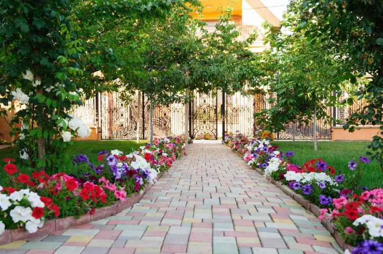 Création de jardin, Bourgoin-Jallieu, Martins Espaces Verts