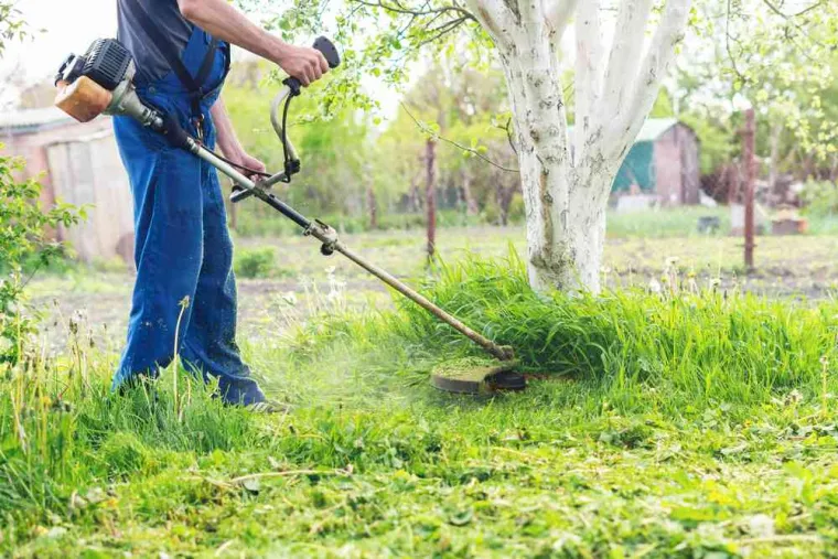 Débroussaillage, Bourgoin-Jallieu, Martins Espaces Verts